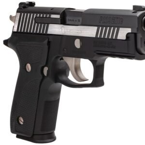 Order Sig Sauer P229 Equinox Online in Australia