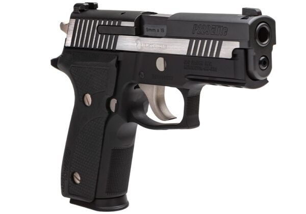 Order Sig Sauer P229 Equinox Online in Australia